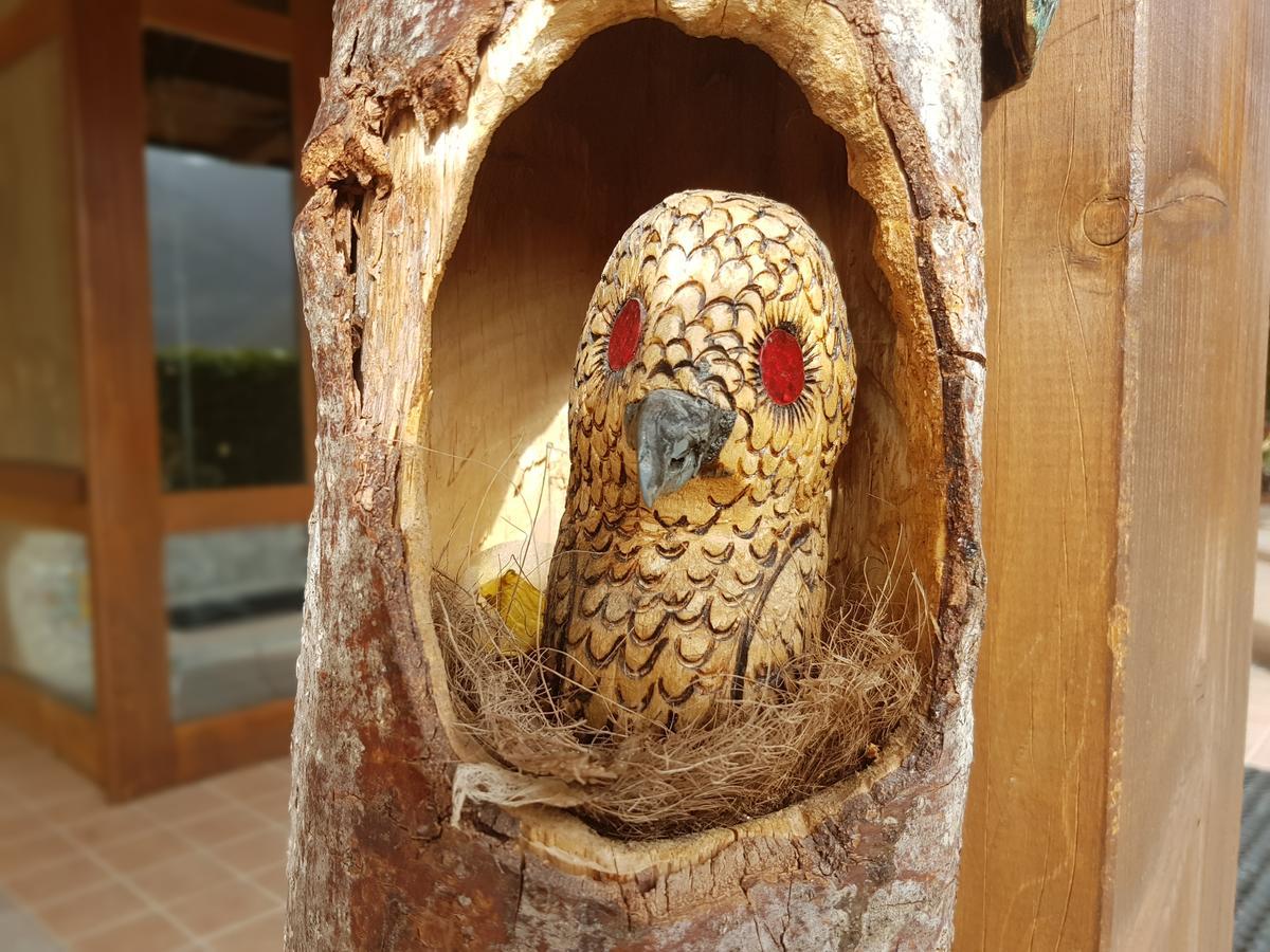 Le Chalet Del Pollino Rotonda Eksteriør billede