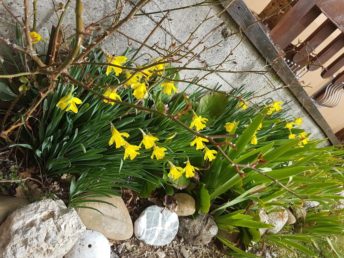 Le Chalet Del Pollino Rotonda Eksteriør billede