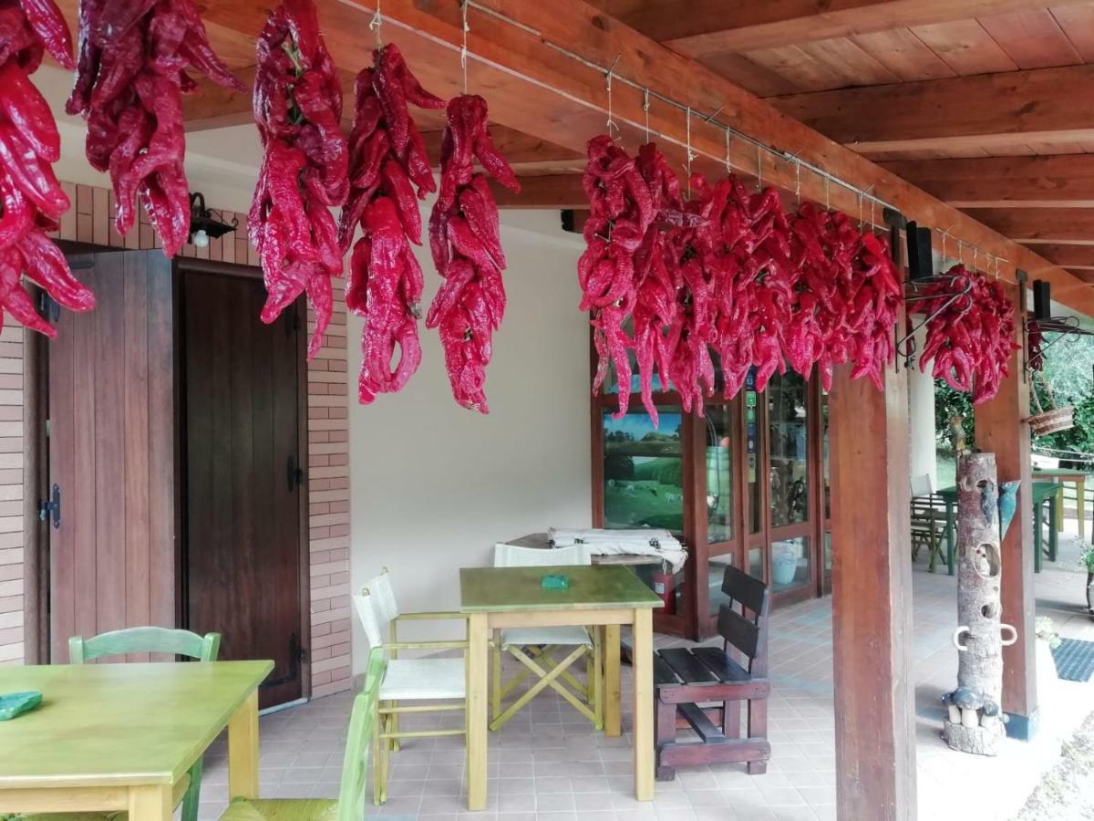Le Chalet Del Pollino Rotonda Eksteriør billede